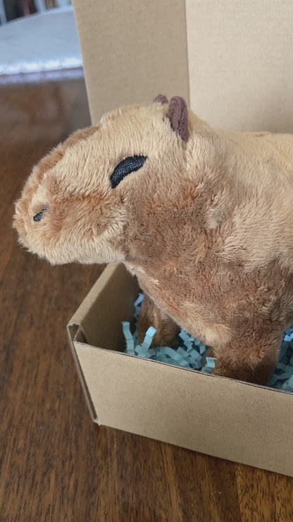 Peluche de Tierno Capibara